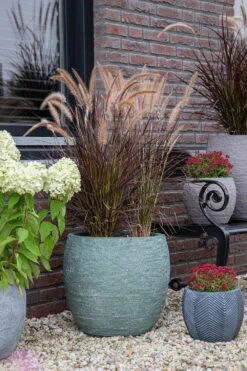 Bloempot Arizona Bullet Cypress Wash - D44 X H39cm - Groen -Gardena Verkoop arizona bullet cypress wash d44h39 bloempot 7 9