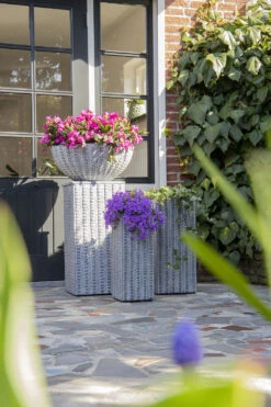 Plantenschaal Arkansas - D55 X H24cm - Lichtgrijs -Gardena Verkoop arkansas bowl low washed grey d55h24 bloempot 7 9