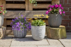 Bloempot Arkansas Egg Washed - D45 X H43cm - Lichtgrijs -Gardena Verkoop arkansas egg pot washed grey d45h43 bloempot 7 9