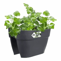 Elho Balkonbak Vibia Campana Bridge 40cm - Antraciet 9 Elho Balkonbak Vibia Campana Bridge 40cm - Antraciet -Gardena Verkoop balkonbak vibia campana bridge 40cm antraciet balkonbak antraciet 3 1