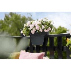 Elho Balkonbak Vibia Campana Bridge 40cm - Antraciet 11 Elho Balkonbak Vibia Campana Bridge 40cm - Antraciet -Gardena Verkoop balkonbak vibia campana bridge 40cm antraciet balkonbak antraciet 5 1