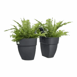 Elho Balkonbak Vibia Campana Twin 21cm - Antraciet -Gardena Verkoop balkonbak vibia campana twin 21cm antraciet balkonbak antraciet 3 1