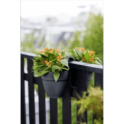 Elho Balkonbak Vibia Campana Twin 21cm - Antraciet -Gardena Verkoop balkonbak vibia campana twin 21cm antraciet balkonbak antraciet 5 1