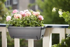 Balkonbak Elho Barcelona Allin 1 50cm - Antraciet -Gardena Verkoop barcelona allin1 50cm plantenbak antraciet 7 18