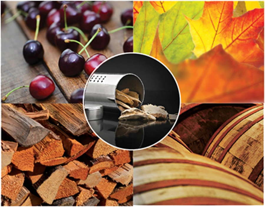 BBQ Rookbuis Starterkit - Napoleon 6 BBQ Rookbuis Starterkit - Napoleon - Afbeelding 4