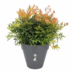 Bloempot Elho Loft Urban Rond 60cm - Antraciet -Gardena Verkoop bloempot elho loft urban rond antraciet bloempot antraciet 3 2