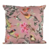 Buitenkussen Vogel 45x45cm - Tuinkussen 2 Buitenkussen Vogel 45x45cm - Tuinkussen -Gardena Verkoop buitenkussen vogel 45x45cm tuinkussen polyester 1