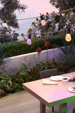 Calex Smart Outdoor Feestverlichting/Partystring - 10M 24V 11 Calex Smart Outdoor Feestverlichting/Partystring - 10M 24V -Gardena Verkoop calex smart outdoor feestverlichting partystring 10m 24v 5