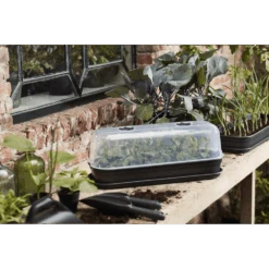 Elho Green Basics Kweekhuis L - Transparant 9 Elho Green Basics Kweekhuis L - Transparant -Gardena Verkoop elho green basics kweekhuis l transparant 4