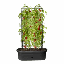 Elho Green Basics Veggie Wall 80cm - Living Black 12 Elho Green Basics Veggie Wall 80cm - Living Black -Gardena Verkoop elho green basics veggie wall 80cm living black 5