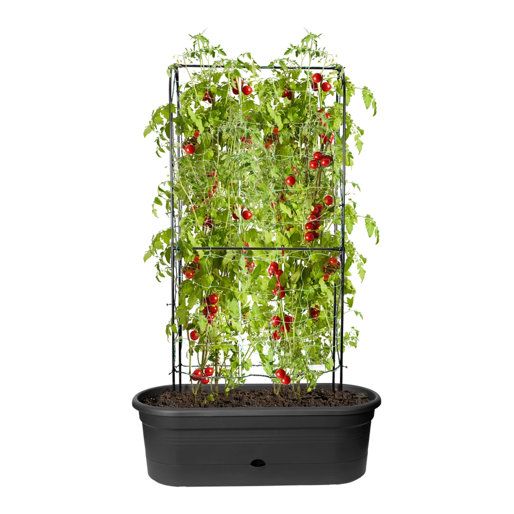 Elho Green Basics Veggie Wall 80cm - Living Black 7 Elho Green Basics Veggie Wall 80cm - Living Black - Afbeelding 5