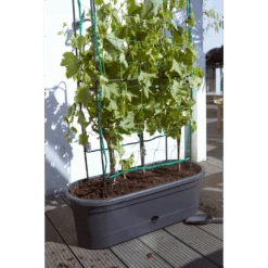 Elho Green Basics Veggie Wall 80cm - Living Black 13 Elho Green Basics Veggie Wall 80cm - Living Black -Gardena Verkoop elho green basics veggie wall 80cm living black 6