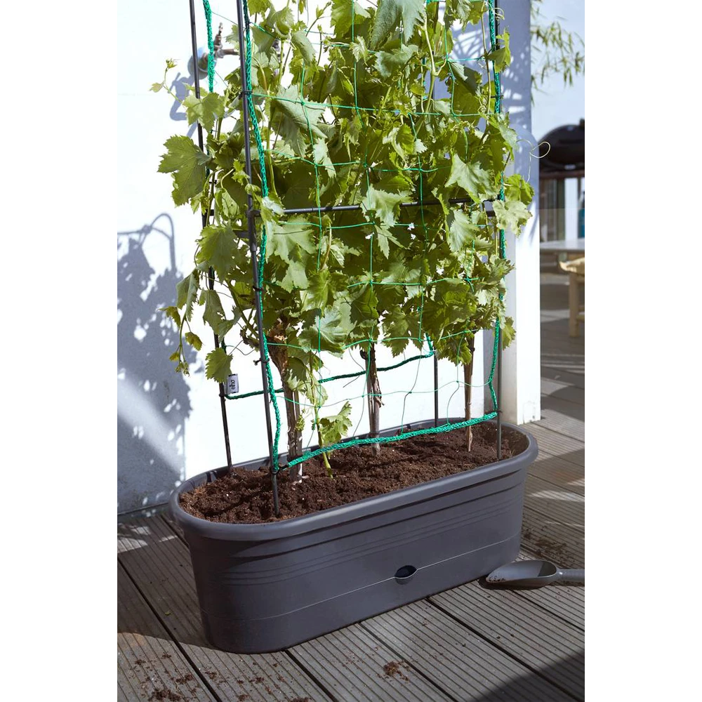 Elho Green Basics Veggie Wall 80cm - Living Black 8 Elho Green Basics Veggie Wall 80cm - Living Black - Afbeelding 6