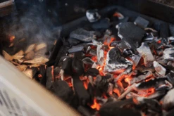 Gietijzeren Houtskoolinzet - Napoleon -Gardena Verkoop gietijzeren houtskoolinzet napoleon 5 9