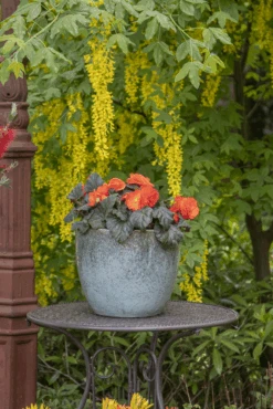 Bloempot Glazed Egg - D30 X H26cm - Groen -Gardena Verkoop glazed egg pot moss green d30h26 bloempot groen 7 6