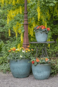 Bloempot Glazed Egg - D38 X H32cm - Groen -Gardena Verkoop glazed egg pot moss green d38h32 bloempot groen 7 6