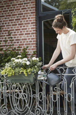 Balkonbak Elho Green Basics XL Allin1 55cm - Bladgroen -Gardena Verkoop green basics balkonbak xl allin1 55cm plantenbak bladgroen 7 14