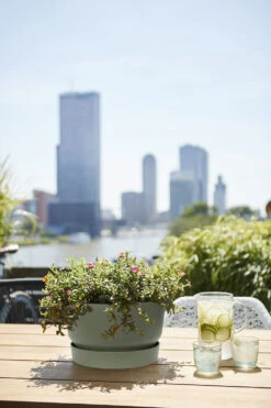 Plantenschaal Elho Greenville 33cm - Bladgroen 7 Plantenschaal Elho Greenville 33cm - Bladgroen -Gardena Verkoop greenville schaal 33cm bloempot bladgroen 6 13