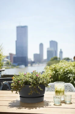 Plantenschaal Elho Greenville 33cm - Living Black -Gardena Verkoop greenville schaal 33cm bloempot living black 6 13