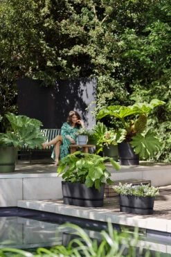 Bloembak Elho Greenville Terrace 60cm - Met Wielen - Living Black -Gardena Verkoop greenville terrace trough 60cm wheels plantenbak living black 7 13