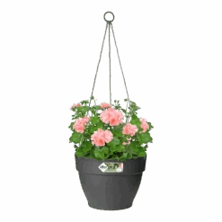 Elho Hangschaal Vibia Campana 26cm - Antraciet -Gardena Verkoop hangschaal vibia campana 26cm antraciet hangpot antraciet 3 1