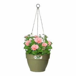 Elho Hangschaal Vibia Campana 26cm - Saliegroen -Gardena Verkoop hangschaal vibia campana 26cm saliegroen hangpot saliegroen 3 1