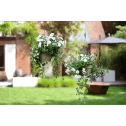 Elho Hangschaal Vibia Campana 26cm - Saliegroen -Gardena Verkoop hangschaal vibia campana 26cm saliegroen hangpot saliegroen 4 1