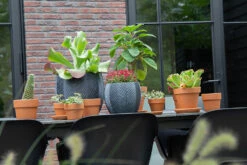 Bloempot Iowa Bullet - D23 X H20.5cm - Donkergrijs -Gardena Verkoop iowa bullet graphite d23h205 bloempot 7 9