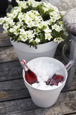 Bloempot Elho Loft Urban Rond 70cm - Antraciet -Gardena Verkoop loft urban rond 70 bloempot antraciet 6 15