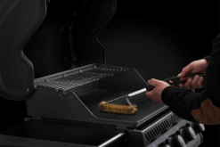 Messing Grillborstel 3x Parallel - Napoleon -Gardena Verkoop messing grillborstel 3x parallel napoleon 3 9