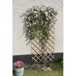 Nature - Houten Klimrek Naturel 100x200cm -Gardena Verkoop nature houten klimrek naturel 100x200cm 3 2