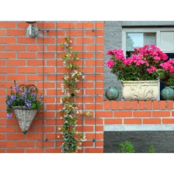 Nature - Metalen Klimrek Geplastificeerd Grijs H145x72,5cm -Gardena Verkoop nature metalen klimrek geplastificeerd grijs h145x72 5cm 3 2