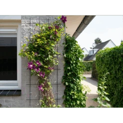 Nature - Metalen Klimrek Geplastificeerd Groen H145x57cm -Gardena Verkoop nature metalen klimrek geplastificeerd groen h145x57cm 3 2