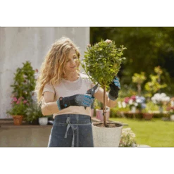 Snoei- En Rozenhandschoen - L - Gardena 10 Snoei- En Rozenhandschoen - L - Gardena -Gardena Verkoop snoei en rozenhandschoen l gardena 4 2