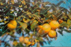 Tuinnet Mono - 8x8m - Groen - Nature 9 Tuinnet Mono - 8x8m - Groen - Nature -Gardena Verkoop tuinnet mono groen nature 4 1