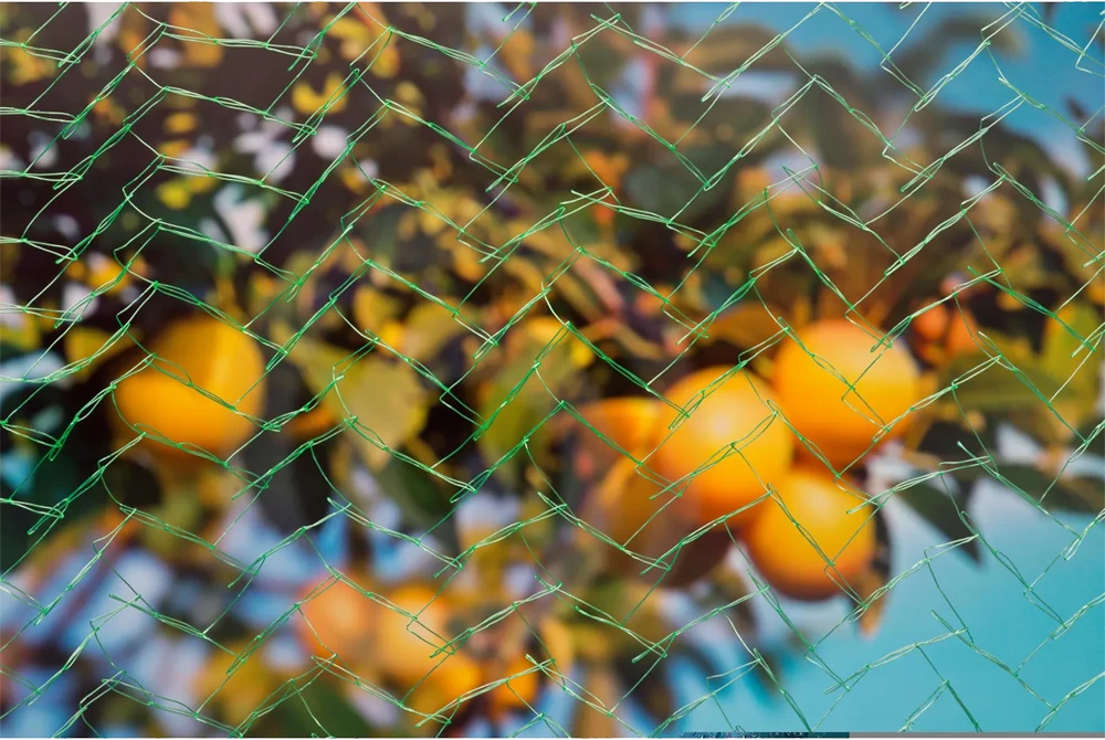 Tuinnet Mono - 8x8m - Groen - Nature 6 Tuinnet Mono - 8x8m - Groen - Nature - Afbeelding 4