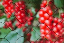 Tuinnet Primo - 5x5m - Zwart - Nature -Gardena Verkoop tuinnet primo zwart nature 4 1