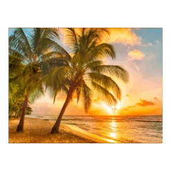 Tuinposter Strand Ondergaande Zon - L - 120x90cm