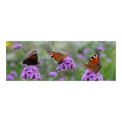 Tuinposter Vlinders - 110x45cm