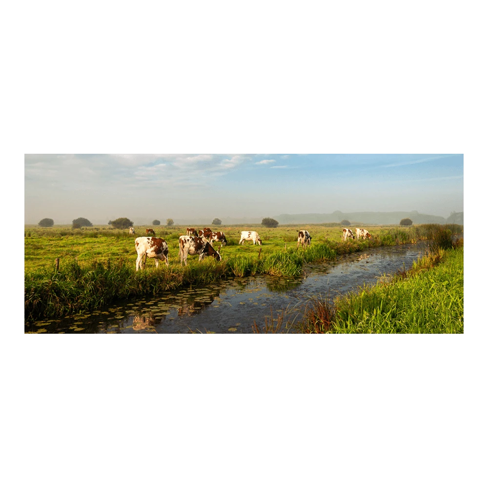 Tuinposter Weiland Met Koeien - 110x45cm 3 Tuinposter Weiland Met Koeien - 110x45cm