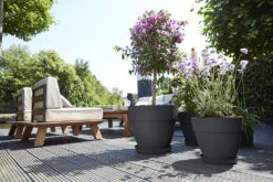 Bloempot Elho Vibia Campana Rond 47cm - Antraciet 6 Bloempot Elho Vibia Campana Rond 47cm - Antraciet -Gardena Verkoop vibia campana rond 47 bloempot antraciet 6 11