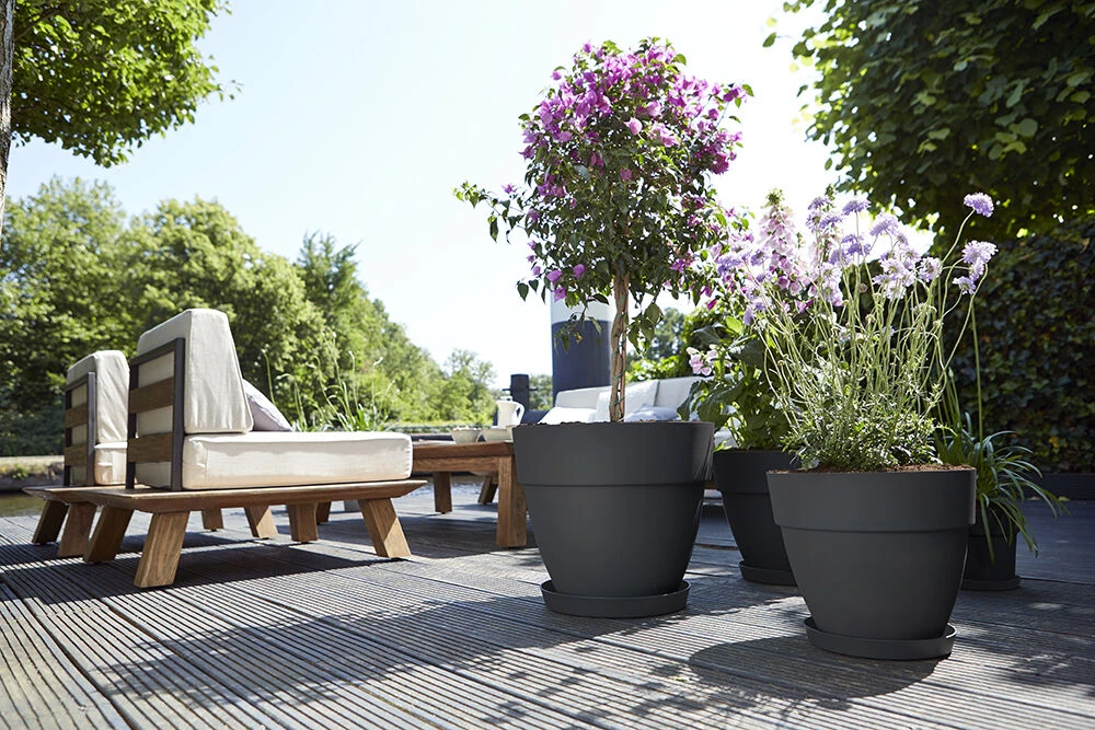 Bloempot Elho Vibia Campana Rond 47cm - Antraciet 4 Bloempot Elho Vibia Campana Rond 47cm - Antraciet - Afbeelding 2