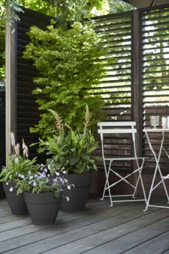 Bloempot Elho Vibia Campana Rond 47cm - Antraciet 7 Bloempot Elho Vibia Campana Rond 47cm - Antraciet -Gardena Verkoop vibia campana rond 47 bloempot antraciet 7 11