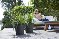 Bloempot Elho Vibia Straight Rond 47cm - Antraciet -Gardena Verkoop vibia straight rond 47cm bloempot antraciet 7 11