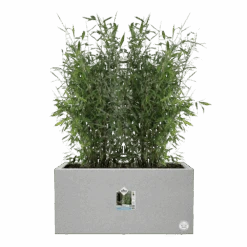 Elho Vivo Next Lang Wielen 80cm - Warm Grijs -Gardena Verkoop vivo matt lang wielen 80cm warm grijs 5 1