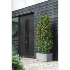 Elho Vivo Next Lang Wielen 80cm - Warm Grijs -Gardena Verkoop vivo matt lang wielen 80cm warm grijs 6 1