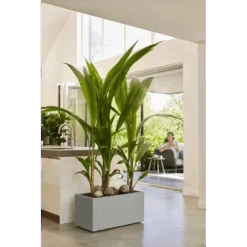 Elho Vivo Next Lang Wielen 80cm - Warm Grijs -Gardena Verkoop vivo matt lang wielen 80cm warm grijs 7 1