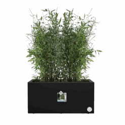 Elho Vivo Next Lang Wielen 80cm - Living Black 13 Elho Vivo Next Lang Wielen 80cm - Living Black -Gardena Verkoop vivo next lang wielen 80cm living black 5 1
