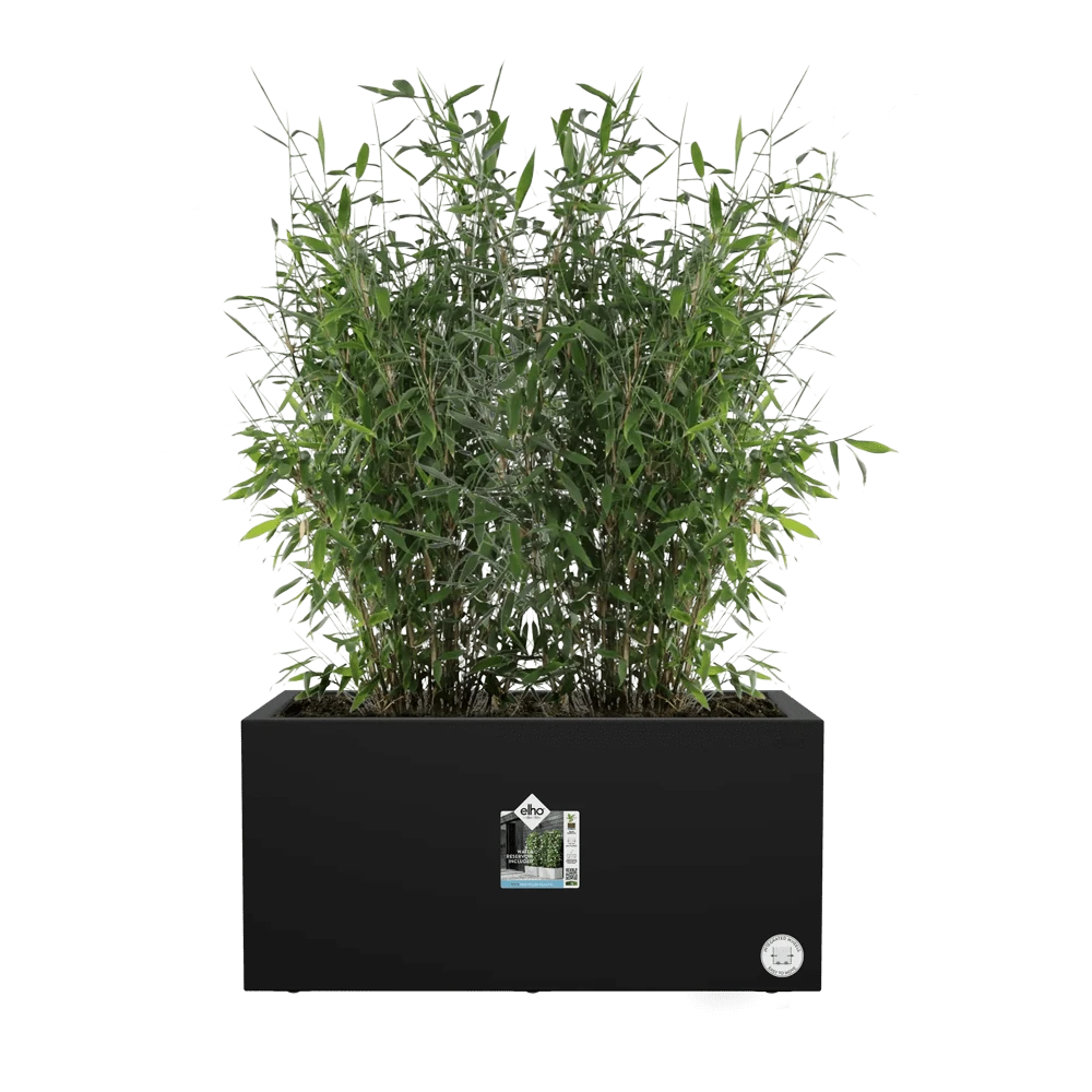 Elho Vivo Next Lang Wielen 80cm - Living Black 7 Elho Vivo Next Lang Wielen 80cm - Living Black - Afbeelding 5