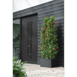 Elho Vivo Next Lang Wielen 80cm - Living Black 14 Elho Vivo Next Lang Wielen 80cm - Living Black -Gardena Verkoop vivo next lang wielen 80cm living black 6 1